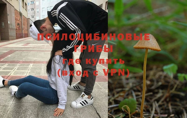 кокс Гусь-Хрустальный