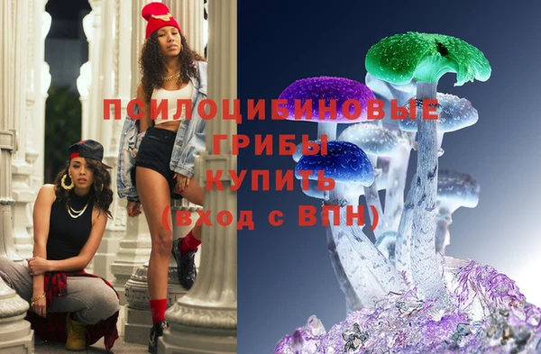 кокс Гусь-Хрустальный