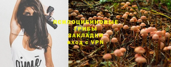 прущая мука Гусиноозёрск