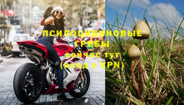 прущая мука Гусиноозёрск