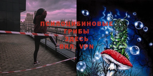 кокс Гусь-Хрустальный