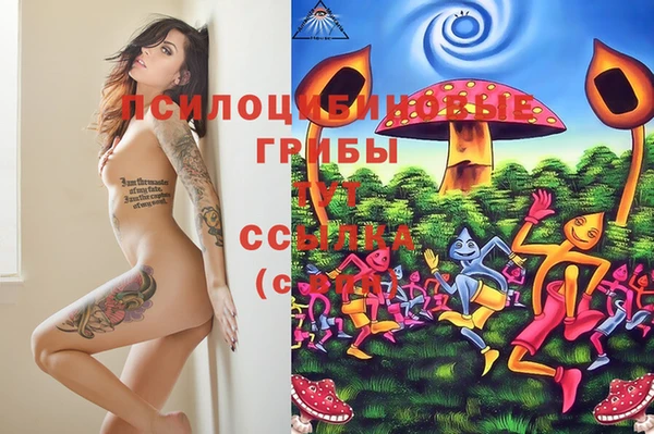 кокс Гусь-Хрустальный