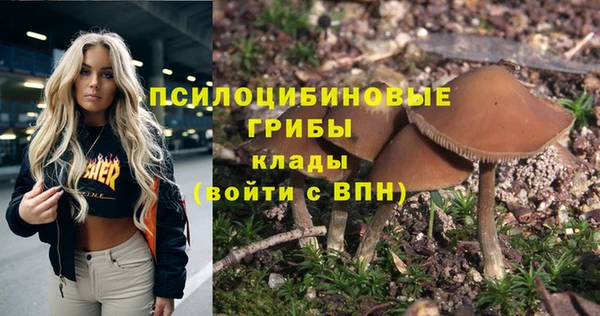 кристаллы Гусев