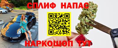 хмурый Бийск