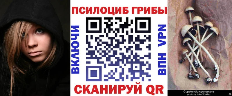 сколько стоит  Десногорск  Псилоцибиновые грибы GOLDEN TEACHER 